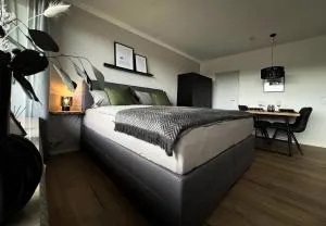 Black Forest Home - Schönwald