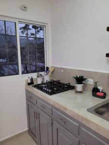 Full Studio in Pv, Aralias