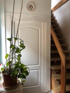 Mákvirág Vendégház