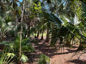 28 Night Heron - Two bedroom, two bath, pet friendly, 5 min walk to beach and pool