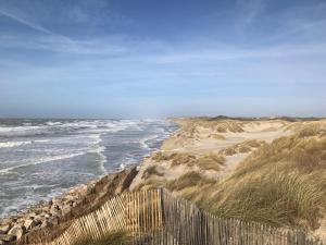 Villas Petale de Rose, Dunes 3 : photos des chambres