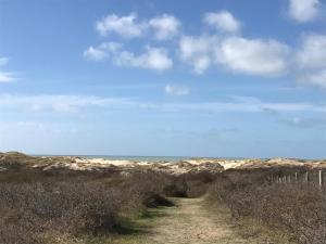 Villas Petale de Rose, Dunes 3 : photos des chambres