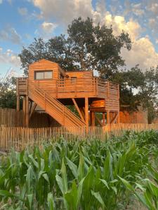 La Cabane dans les Arbres - Les Pieds dans le Pré