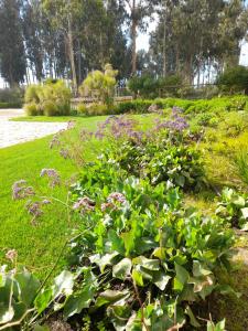 DEPARTAMENTO ALGARROBO NORTE