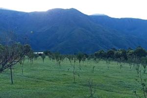 finca de barcena, country house