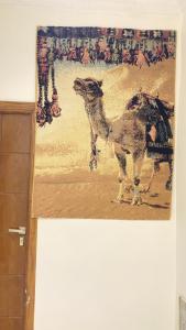 RAAK HOTEL فندق راك