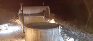 Maison l'âne vert - Amplepuis