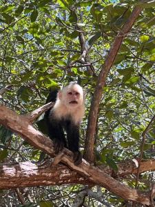 Very cozy beautifully designed loft apartment