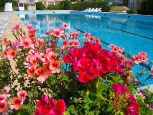 3 stern hotel Sunshine Pearl Hotel Kawarna Bulgarien