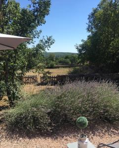 TINY HOUSE & SPA climatisée