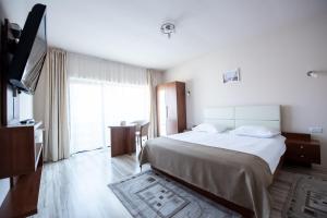 Superior Double Room room in Pensiunea Andy