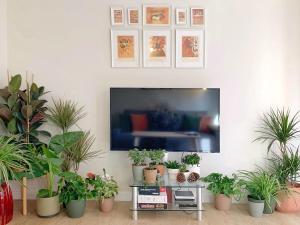 Charming flat in Bermeos Old Town- Nardiz