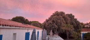 Hotels Logis Hotel de la Plage : photos des chambres