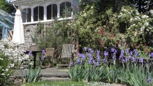 Mulberry Hill Cottage