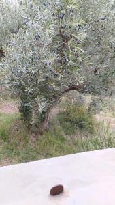 Villas Manosque: Maison en Provence avec superbe vue : photos des chambres