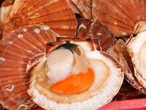 Villages vacances Les Tourelles Village de vacances : photos des chambres