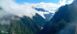 Hill Top Homestay Malana - Pulga