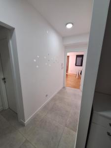 Apartment Teodo magico