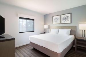 One-Bedroom King Suite with Sofa Bed room in Hyatt House White Plains