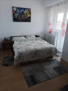 Apartament Alex - 赛比什