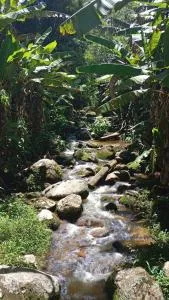 casa beira rio - Barra Alegre