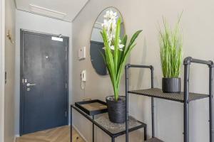 Cozy, Delightful Apt for a Good Rest