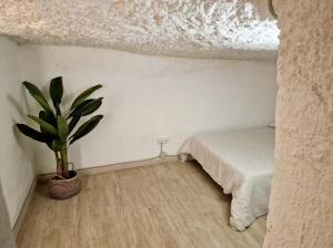 Preciosa casa-cueva con bañera