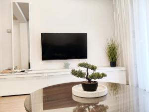 City Center Apartment with a Modern Breeze