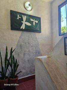 Espacios amplios con terraza y piscina spa