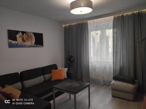 Apartament D&M
