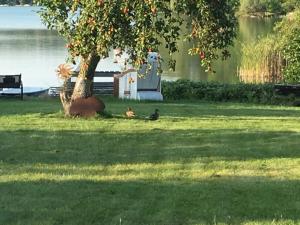 Forsthaus am See Lychen