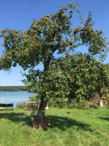 Forsthaus am See Lychen