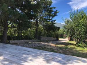 Los ciruelos - Casas de Motaña