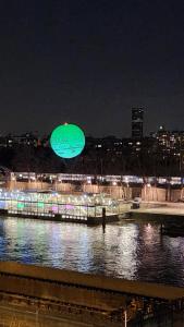 Le Bord de Seine - Paris