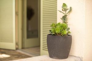 Διαμέρισμα με πισίνα στην Αρτέμιδα