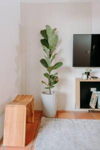 RN Villa - San Benito