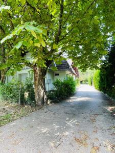 Klebi’s Apartmanház 20