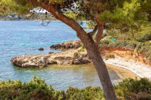 Villa Elicriso Le Bombarde, Alghero img19