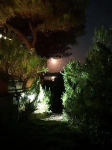 Villa Elicriso Le Bombarde, Alghero img24