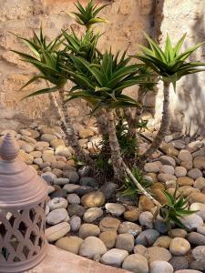 Dar Volubilis spacieuse villa avec piscine, 5 chambres vue sur forêt