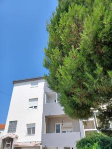 Lovely Family House with 4 apartments in Zadar