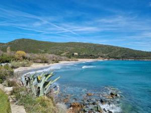 Appartements Vue sur mer a Santa Severa - Appartement Les Cypres : photos des chambres