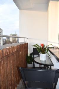 Apartament MCK- Spodek