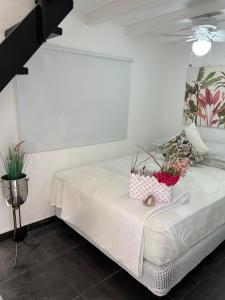 Jangle House with big terrace in Altos del Maria