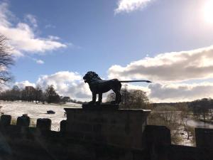 Lionsgate View - luxury apartment opposite Alnwick Castle