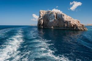 Robinson house with sea view, terrace (3469-1)