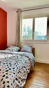 Appartements LE BORD DE LA LOIRE - chambre avec salle de bains commune : photos des chambres