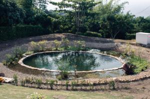 Guaduas de Jade Casa campestre