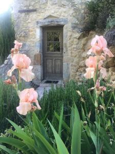 Charmante Bergerie en Drôme à 500m daltitude