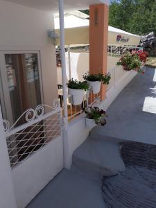 Apartments by the sea Tisno, Murter - 4298
